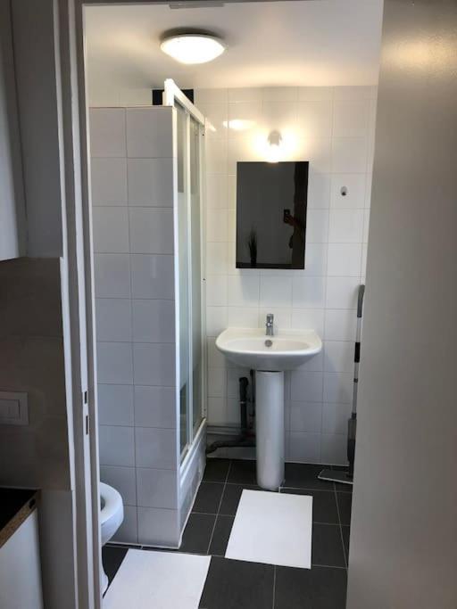 Super Appartement Pre De Disney. Chessy  Eksteriør billede
